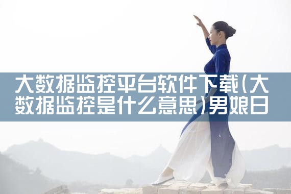 大数据监控平台软件下载|男娘日记
