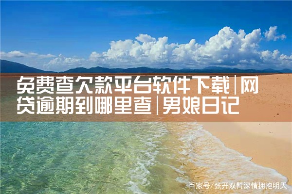 免费查欠款平台软件下载|男娘日记