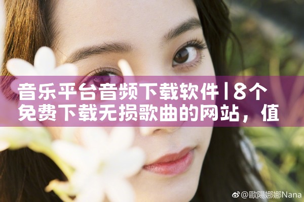音乐平台音频下载软件|男娘日记