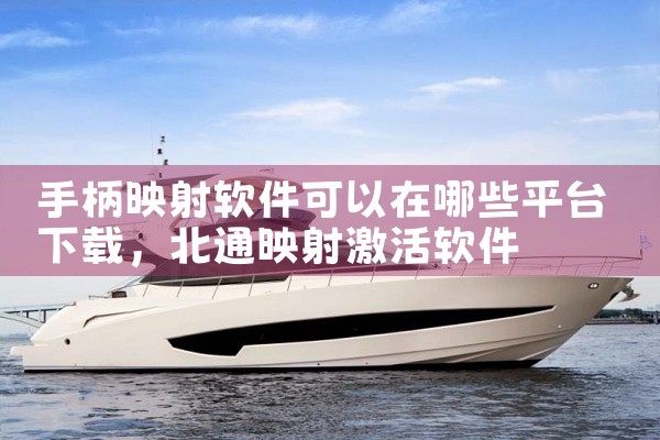 手柄映射软件可以在哪些平台下载