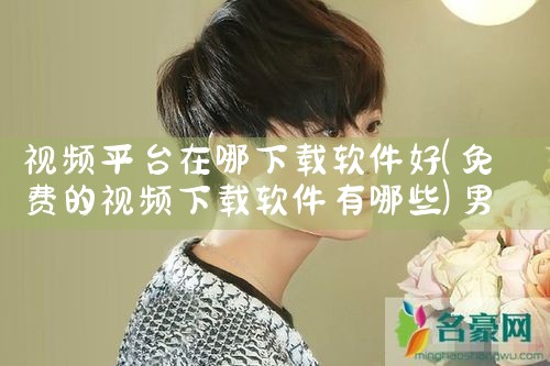视频平台在哪下载软件好|男娘日记