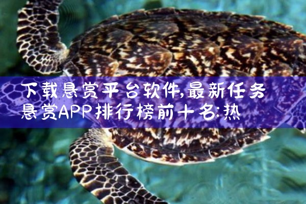 下载悬赏平台软件|糖心Vlog入口
