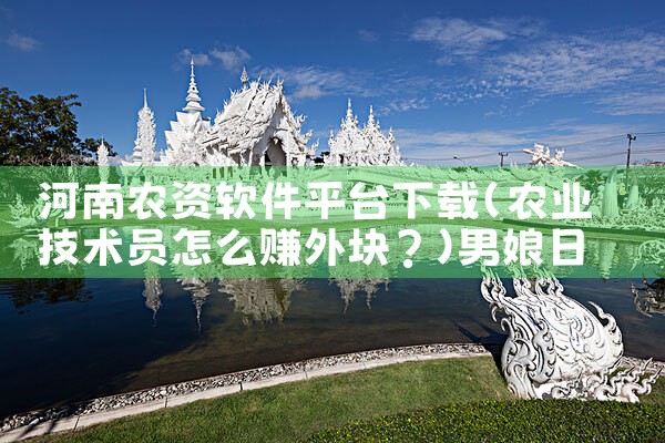 河南农资软件平台下载|男娘日记