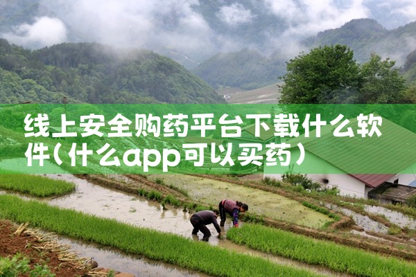 线上安全购药平台下载什么软件