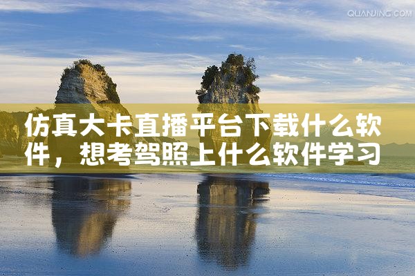 仿真大卡直播平台下载什么软件